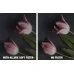 NiSi Allure Soft White for Fujifilm X100 Series (Silver Frame) NiSi Allure Soft White for Fujifilm X100 Series (Silver Frame)